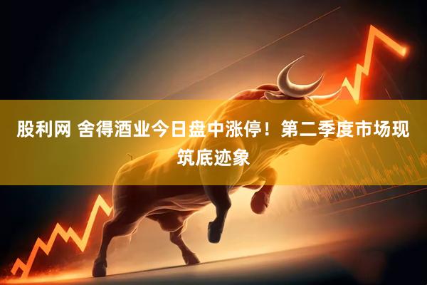 股利网 舍得酒业今日盘中涨停！第二季度市场现筑底迹象