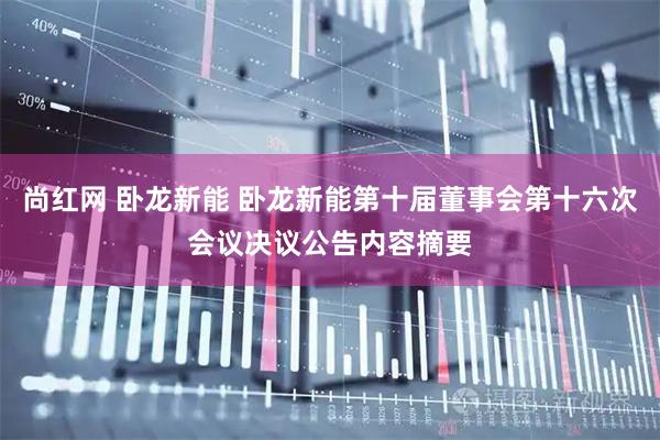 尚红网 卧龙新能 卧龙新能第十届董事会第十六次会议决议公告内容摘要