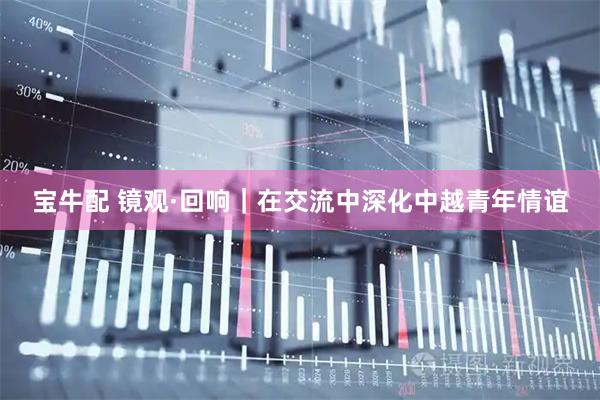 宝牛配 镜观·回响｜在交流中深化中越青年情谊