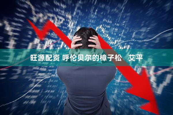 旺源配资 呼伦贝尔的樟子松   艾平
